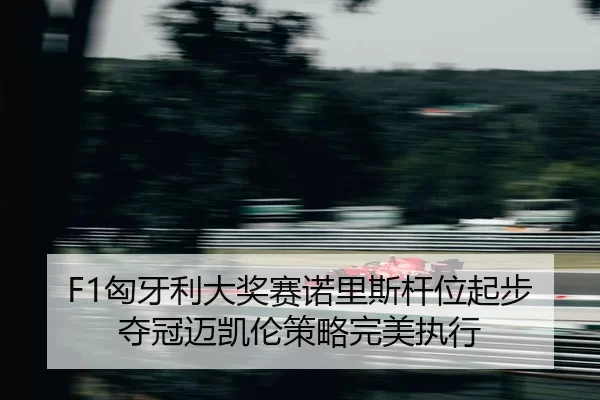 xiong-ya-li-da-jiang-sai-nuo-li-si-gan-wei-qi-bu-duo-guan-mai-kai-lun-ce-lve-wan-mei-zhi-xing-2-223.jpg
