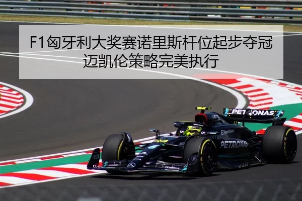 F1匈牙利大奖赛诺里斯杆位起步夺冠迈凯伦策略完美执行